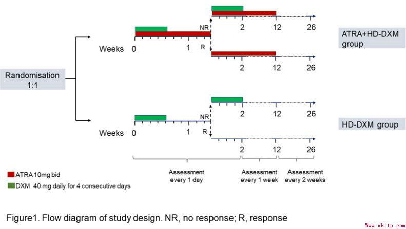 ATRA联合HD-DXM治疗成人免疫性血